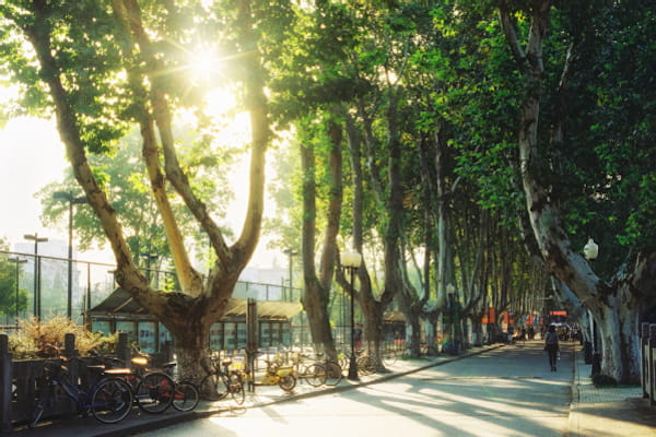 Nanjing University of Aeronautics and Astronautics